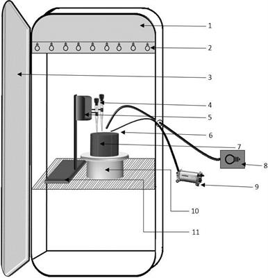 A new procedure for autonomous acquisition of photosynthesis-irradiance curves on a microphytobenthic biofilm